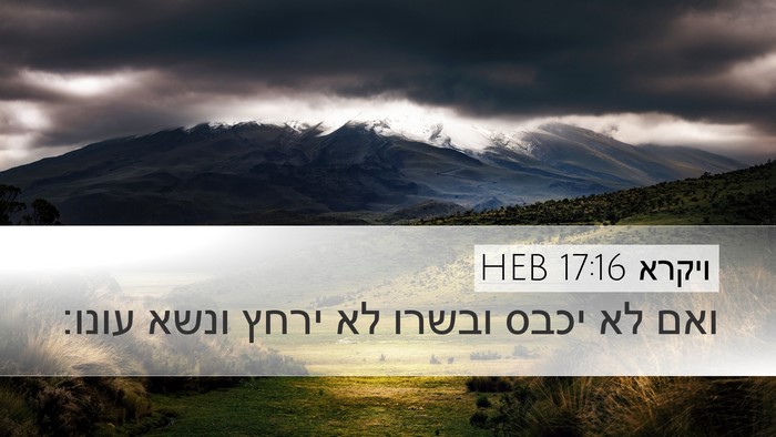 ויקרא 17:16 HEB Bible Verse Image