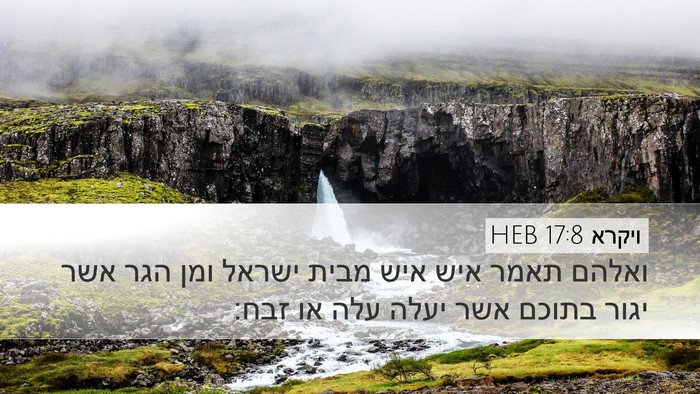 ויקרא 17:8 HEB Bible Verse Image