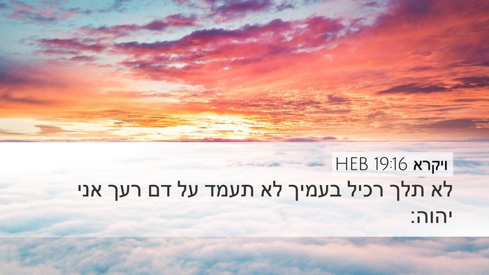 ויקרא 19:16 HEB Bible Verse Image
