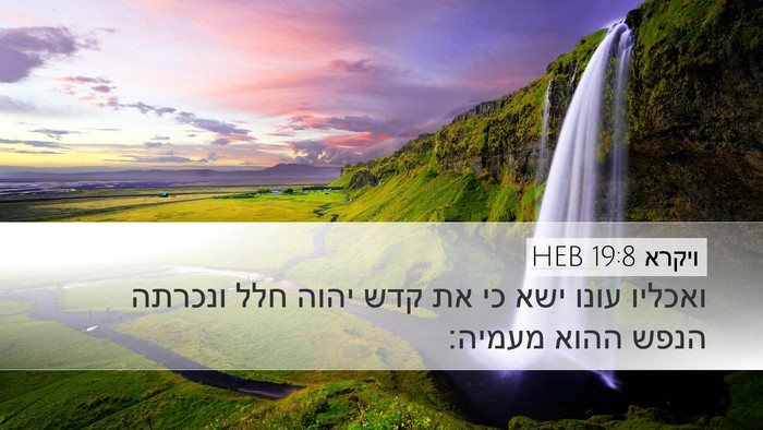 ויקרא 19:8 HEB Bible Verse Image