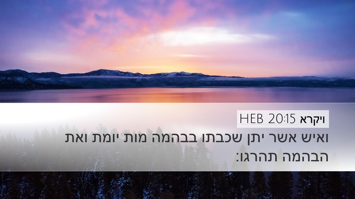 ויקרא 20:15 HEB Bible Verse Image