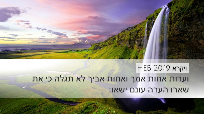 ויקרא 20:19 HEB Bible Verse Image
