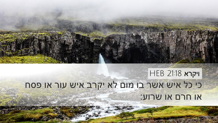 ויקרא 21:18 HEB Bible Verse Image