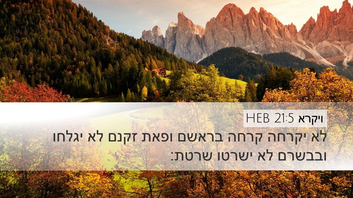 ויקרא 21:5 HEB Bible Verse Image