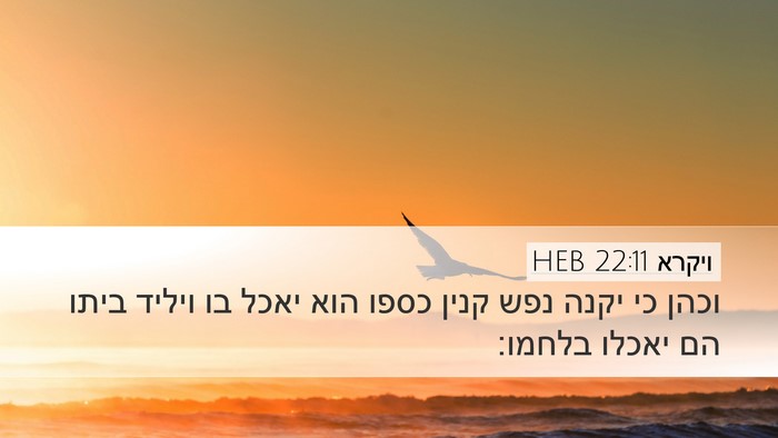 ויקרא 22:11 HEB Desktop Wallpaper - וכהן כי יקנה נפש קנין כספו - Desktop Bible Verse Wallpaper
