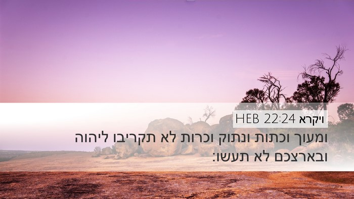 ויקרא 22:24 HEB Desktop Wallpaper - ומעוך וכתות ונתוק וכרות לא - Desktop Bible Verse Wallpaper