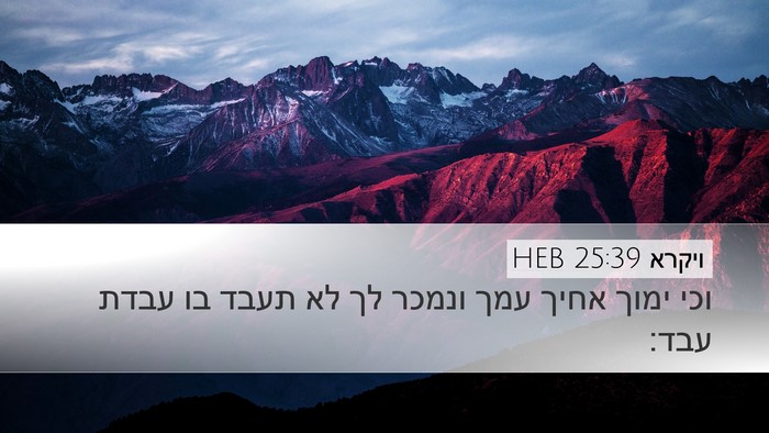 ויקרא 25:39 HEB Bible Verse Image