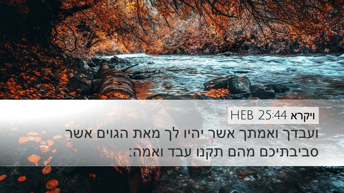 ויקרא 25:44 HEB Bible Verse Image