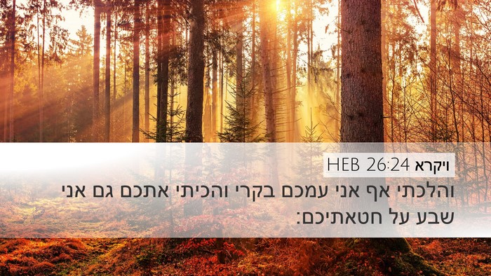 ויקרא 26:24 HEB Bible Verse Image