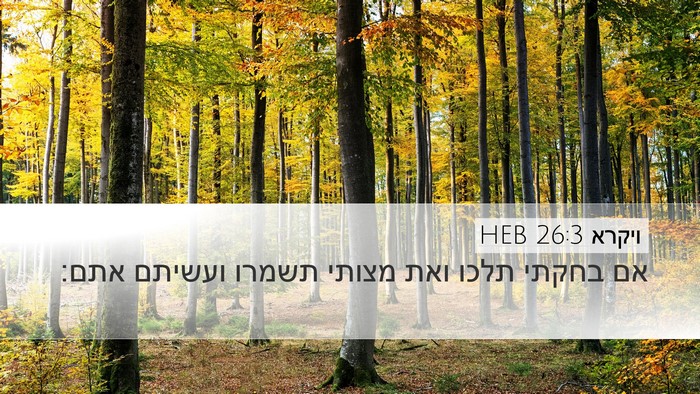 ויקרא 26:3 HEB Bible Verse Image