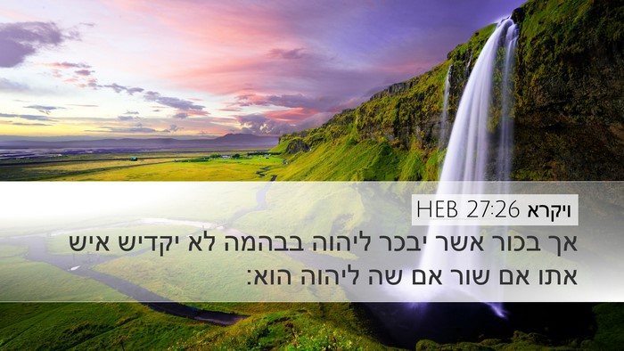 ויקרא 27:26 HEB Bible Verse Image