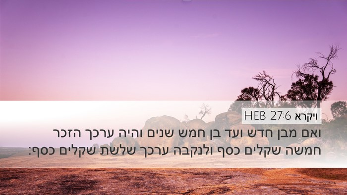 ויקרא 27:6 HEB Desktop Wallpaper - ואם מבן חדש ועד בן חמש שנים - Desktop Bible Verse Wallpaper