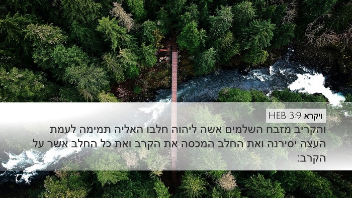 ויקרא 3:9 HEB Bible Verse Image