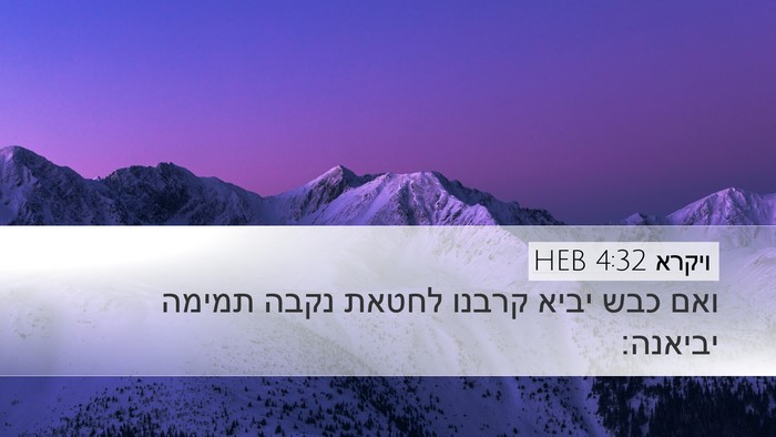 ויקרא 4:32 HEB Bible Verse Image