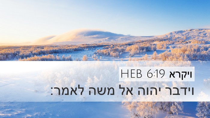 ויקרא 6:19 HEB Bible Verse Image