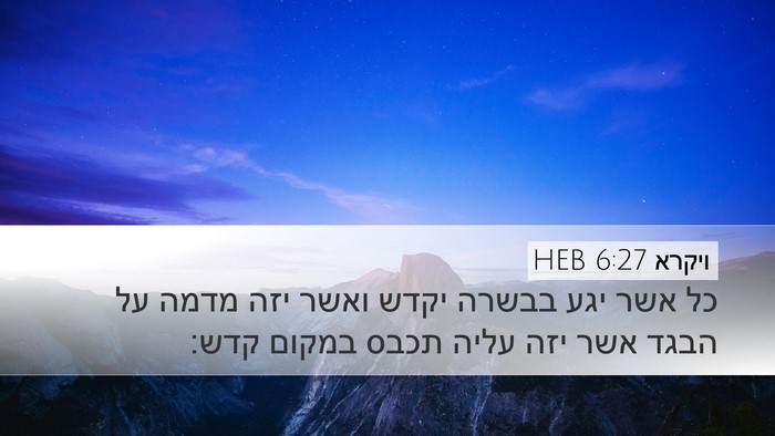 ויקרא 6:27 HEB Bible Verse Image