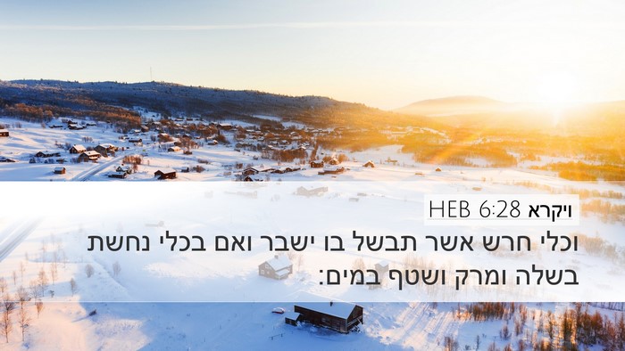 ויקרא 6:28 HEB Bible Verse Image