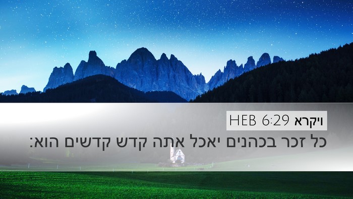 ויקרא 6:29 HEB Bible Verse Image