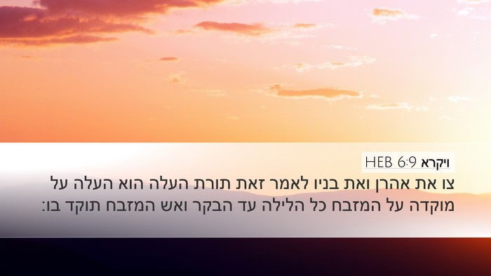 ויקרא 6:9 HEB Bible Verse Image