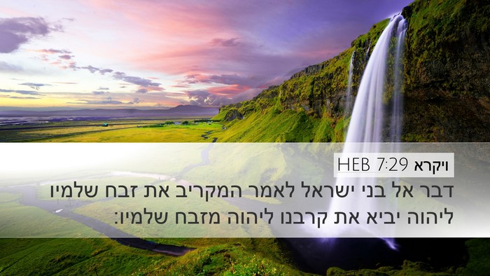 ויקרא 7:29 HEB Bible Verse Image