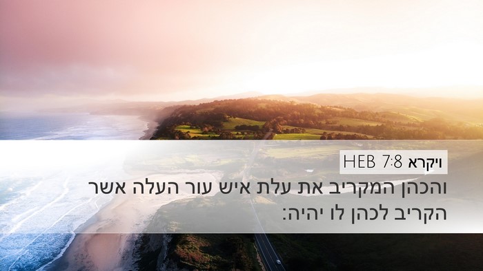 ויקרא 7:8 HEB Desktop Wallpaper - והכהן המקריב את עלת איש עור - Desktop Bible Verse Wallpaper