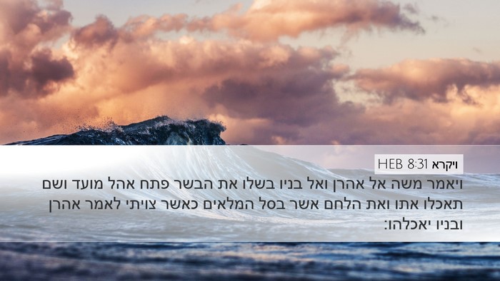 ויקרא 8:31 HEB Bible Verse Image