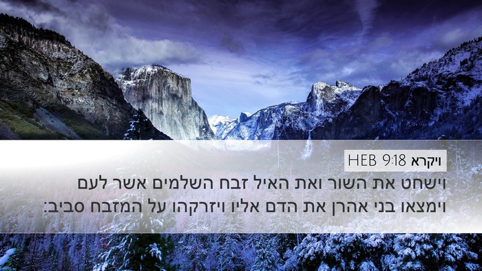 ויקרא 9:18 HEB Bible Verse Image