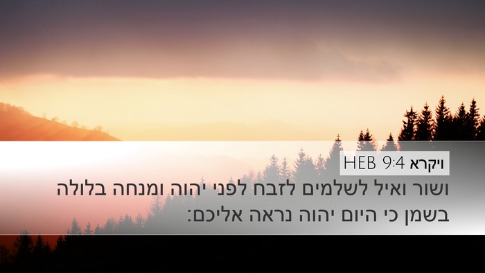 ויקרא 9:4 HEB Bible Verse Image