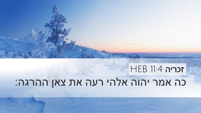 זכריה 11:4 HEB Bible Verse Image