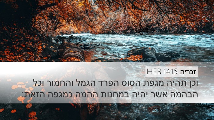 זכריה 14:15 HEB Bible Verse Image