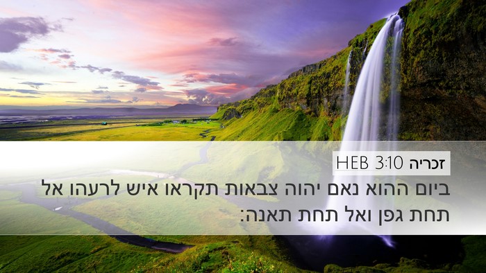 זכריה 3:10 HEB Bible Verse Image