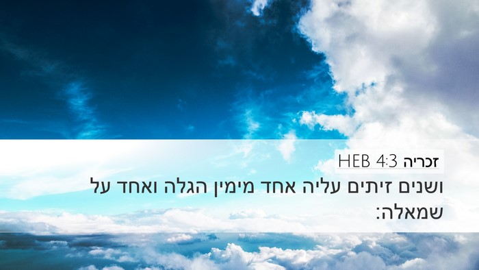 זכריה 4:3 HEB Desktop Wallpaper - ושנים זיתים עליה אחד מימין - Desktop Bible Verse Wallpaper