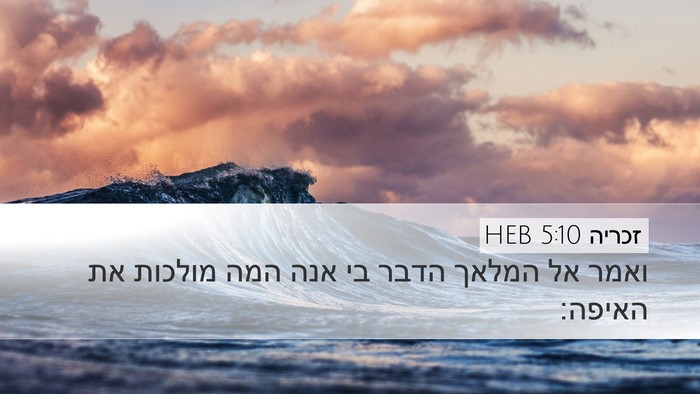 זכריה 5:10 HEB Bible Verse Image