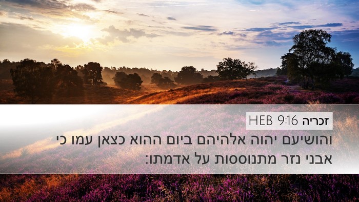 זכריה 9:16 HEB Bible Verse Image