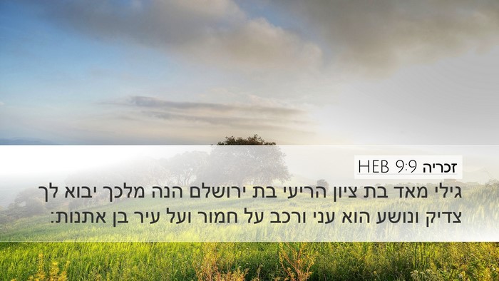 זכריה 9:9 HEB Bible Verse Image