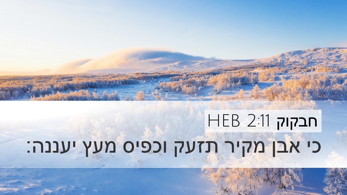חבקוק 2:11 HEB Bible Verse Image