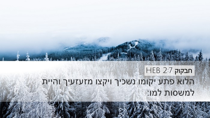 חבקוק 2:7 HEB Bible Verse Image