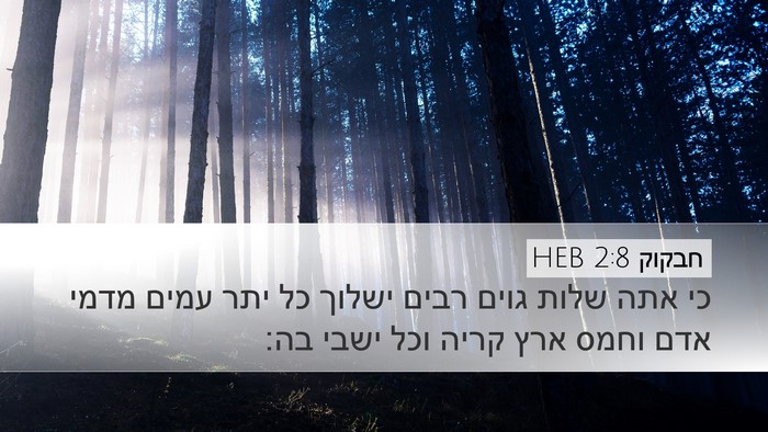 חבקוק 2:8 HEB Bible Verse Image