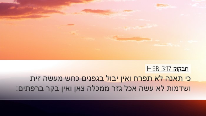 חבקוק 3:17 HEB Bible Verse Image