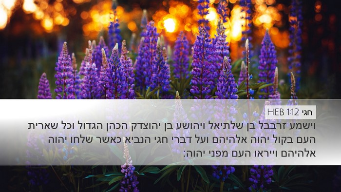 חגי 1:12 HEB Bible Verse Image