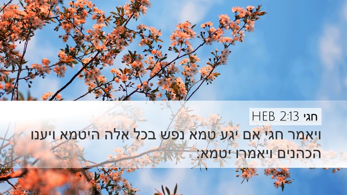 חגי 2:13 HEB Bible Verse Image