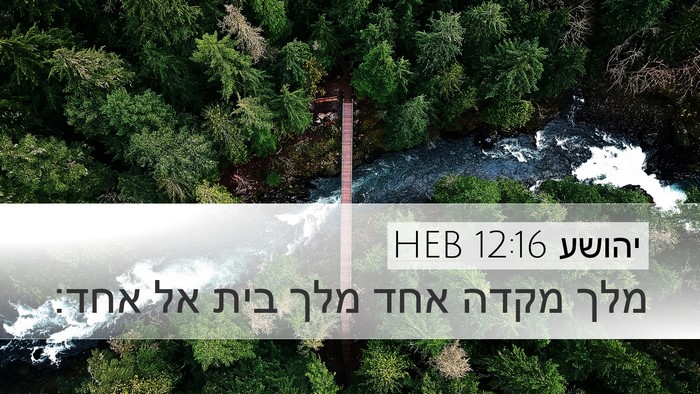 יהושע 12:16 HEB Desktop Wallpaper - מלך מקדה אחד מלך בית אל - Desktop Bible Verse Wallpaper