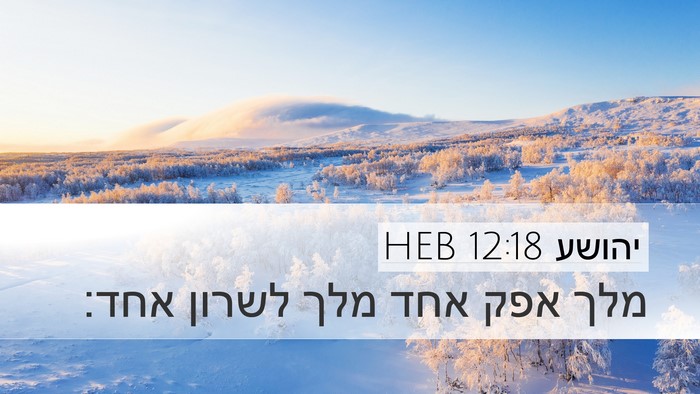 יהושע 12:18 HEB Desktop Wallpaper - מלך אפק אחד מלך לשרון - Desktop Bible Verse Wallpaper