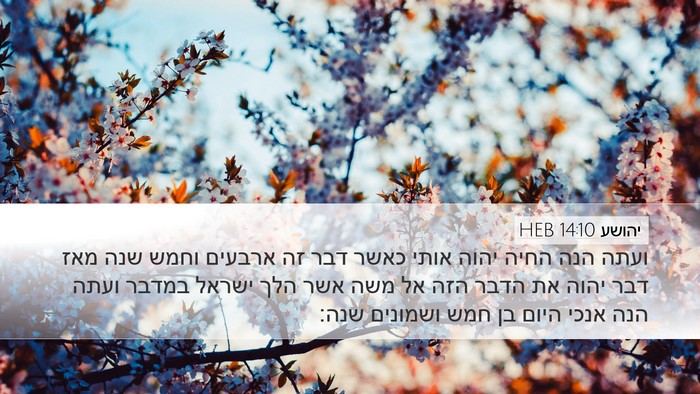 יהושע 14:10 HEB Desktop Wallpaper - ועתה הנה החיה יהוה אותי - Desktop Bible Verse Wallpaper
