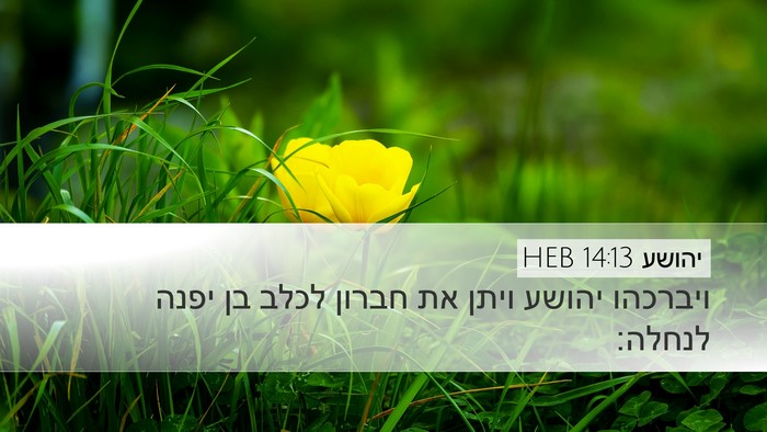 יהושע 14:13 HEB Bible Verse Image