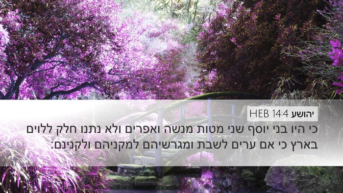 יהושע 14:4 HEB Desktop Wallpaper - כי היו בני יוסף שני מטות - Desktop Bible Verse Wallpaper