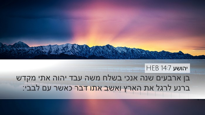 יהושע 14:7 HEB Bible Verse Image