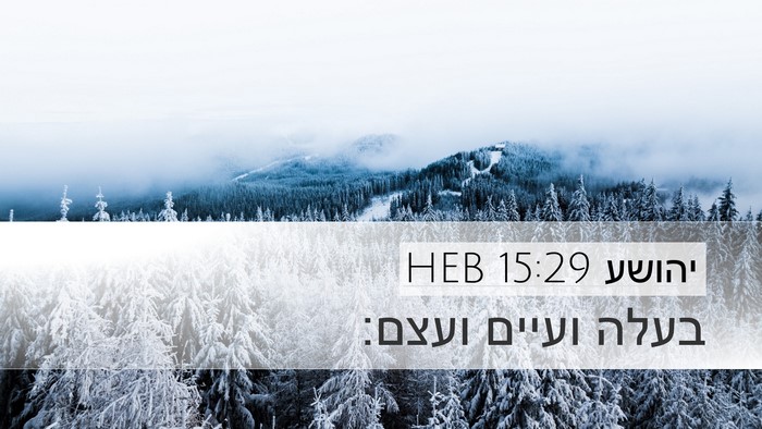 יהושע 15:29 HEB Desktop Wallpaper - בעלה ועיים - Desktop Bible Verse Wallpaper