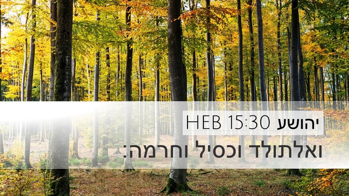 יהושע 15:30 HEB Desktop Wallpaper - ואלתולד וכסיל - Desktop Bible Verse Wallpaper