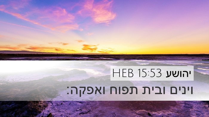 יהושע 15:53 HEB Bible Verse Image